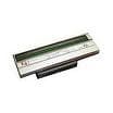ZEBRA ZEBRA PRINTHEAD LP2844/LP2844-Z 203DPI 1015875