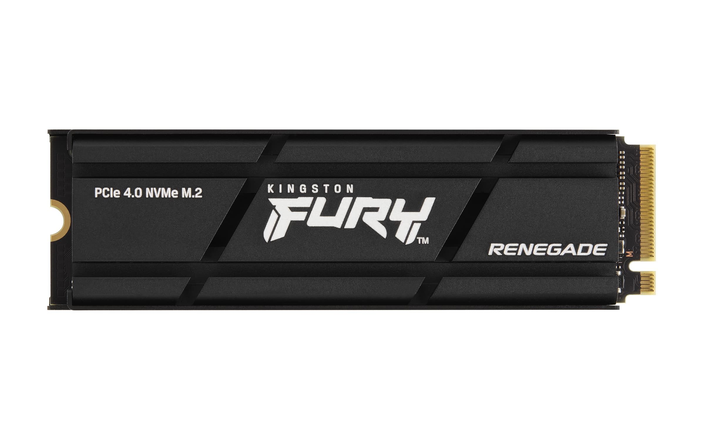 KINGSTON KINGSTON 1000G FURY RENEGADE W/ HEATSINKPCIe 4.0 5667259