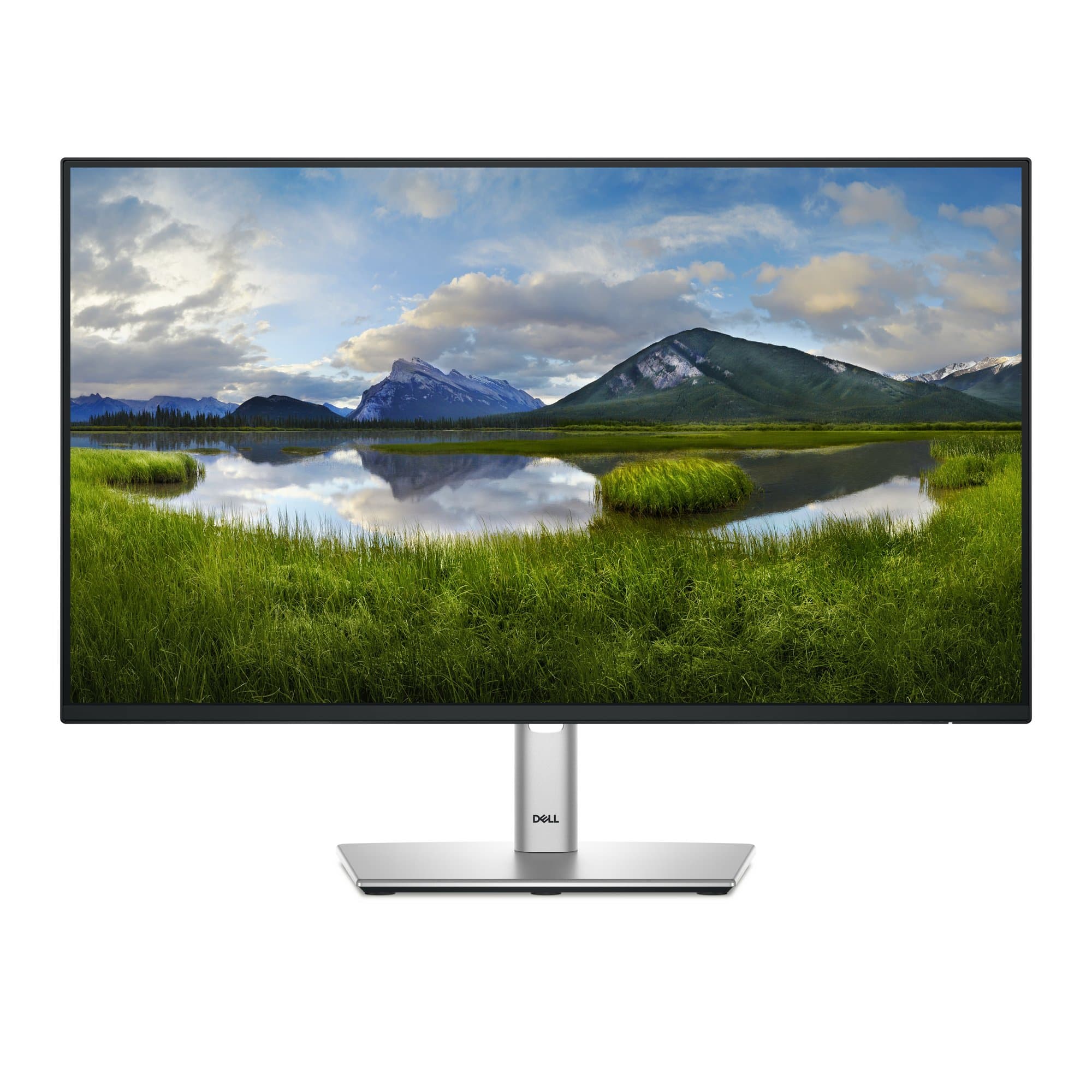 DELL DELL MONITOR P2425H 6252450