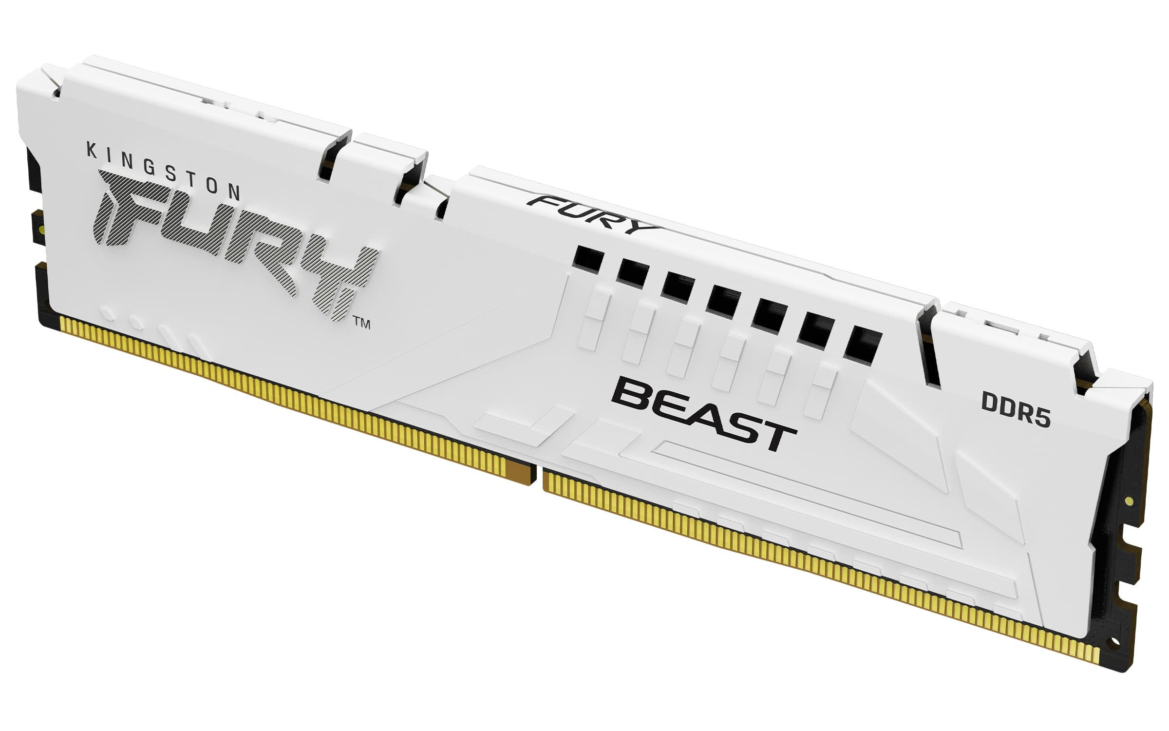 KINGSTON KINGSTON 16GB DDR5-6000MT/s CL36 DIMM FURY Beast 6317207