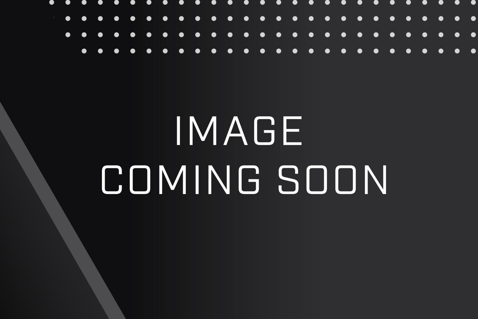 PERLE IDS-205G-CSS10DXT PERLE — view 2