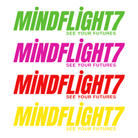 Mindflight7 ENT - XR LAB SILVER - 10 MIN YEAR 1 Mindflight7 — view 2