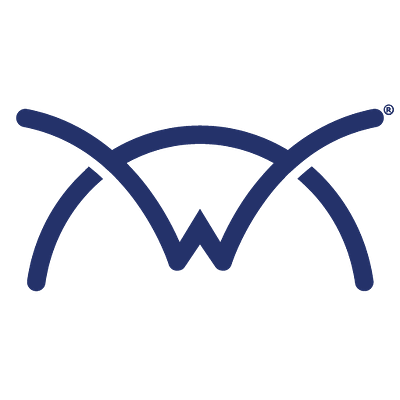 CONNECTWISE Wise-Sync for BMS-Premium CONNECTWISE — view 2