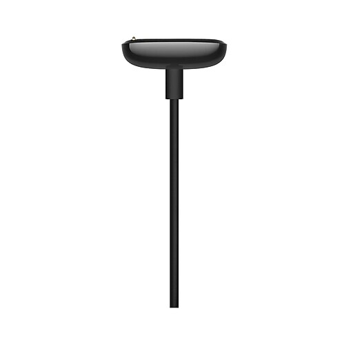 Fitbit VR Products